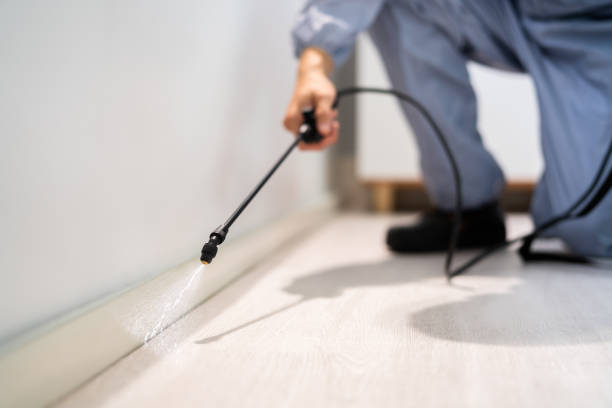 Licensed Fumigation Services service in Stockbridge, GA - Nex Pest Control