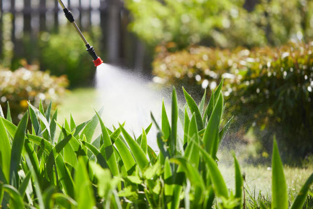 24/7 Emergency Fumigation Services experts in Stockbridge, GA