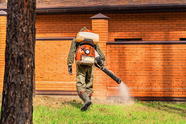 Trusted Ant Control service in Stockbridge, GA - Nex Pest Control